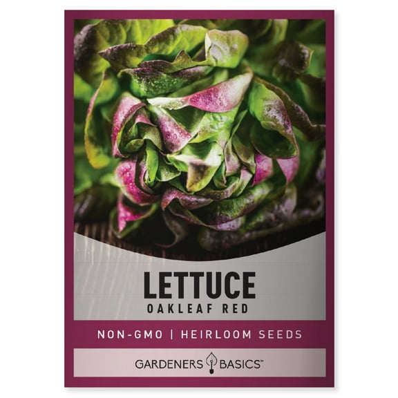 Red Oakleaf Lettuce Seeds