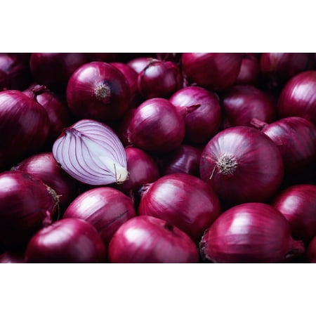 Red Onion Sets for Planting - Easy to Grow Vegetables (40 Onion Sets)