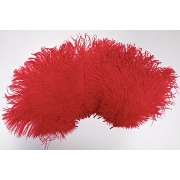 Red Ostrich Feather 8-12 inch size per Six (6)