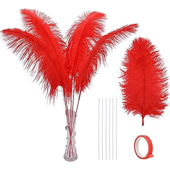 Red Ostrich Feathers for Centerpieces - 12pcs 16-18inch Feathers Making Kit Extra Large Ostrich Feathers for Vase,Wedding Party and Home Decor