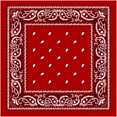 thumbnail image 1 of Red Paisley Bandana Case of 144, 1 of 1