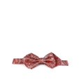 thumbnail image 1 of Red Paisley Silk Bow Tie by Paul Malone, 1 of 2