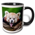 thumbnail image 1 of 3drose, Red Panda Bear in the Wildlife Nature Animal, 11oz Two-tone Black Mug, 1 of 6