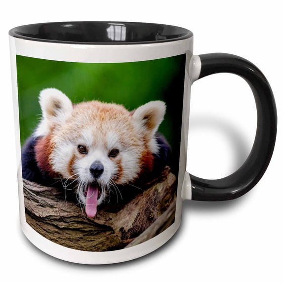 3drose, Red Panda Bear in the Wildlife Nature Animal, 11oz Two-tone Black Mug