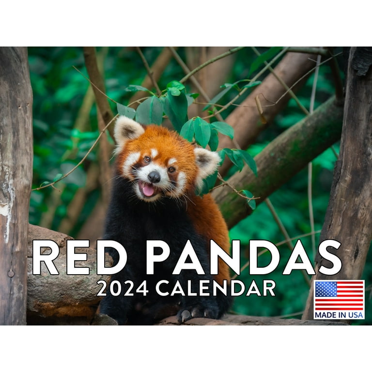 red-panda-calendar-2024-walmart-com