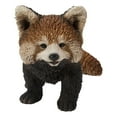 thumbnail image 1 of Red Panda Cub Walking, 1 of 5