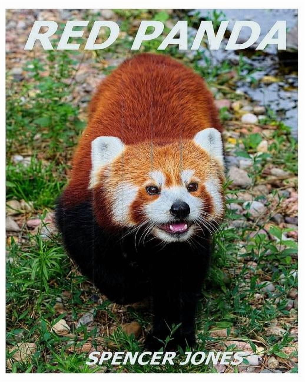 Amazing Nature Childrens Books Red Panda: Learn About Red Pandas ...