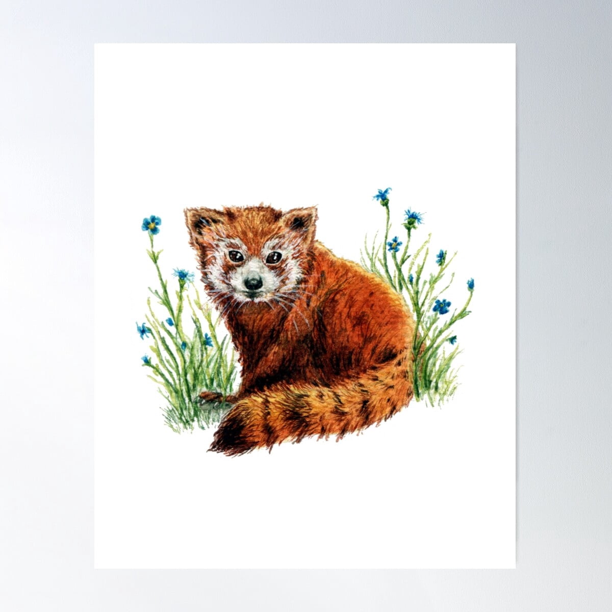 Red Panda | Woodland Animal Art | Forest Creatures Wall Decor | Baby ...