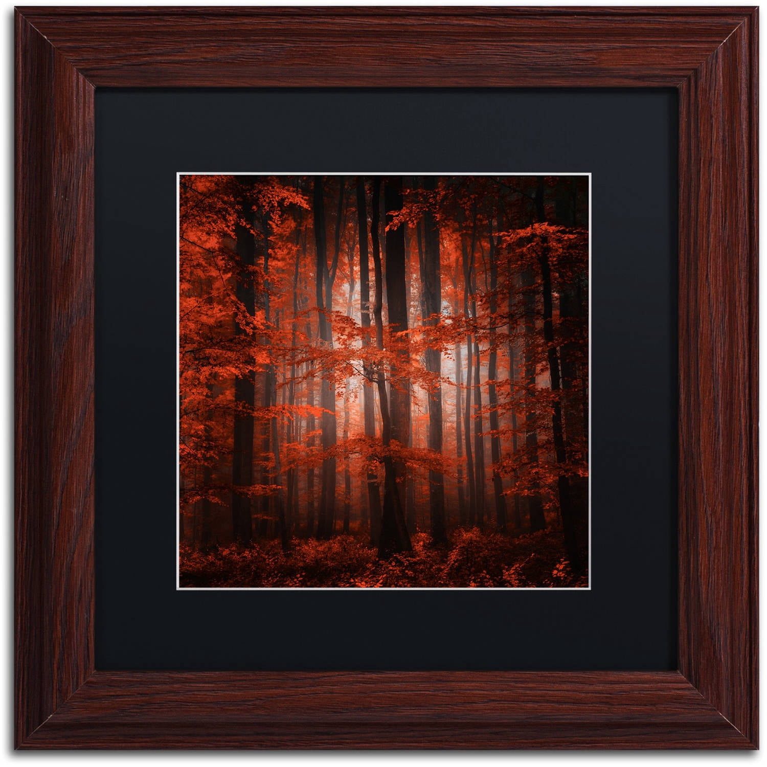 "Red Parallel Universe" Canvas Art by Philippe Sainte-Laudy Black Matte, Wood Frame