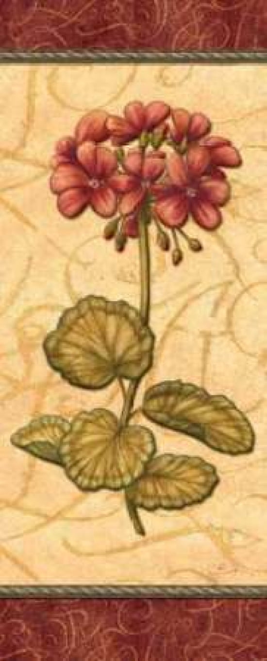 Red Passion Geranium Canvas Art - Charlene Audrey (10 x 20)