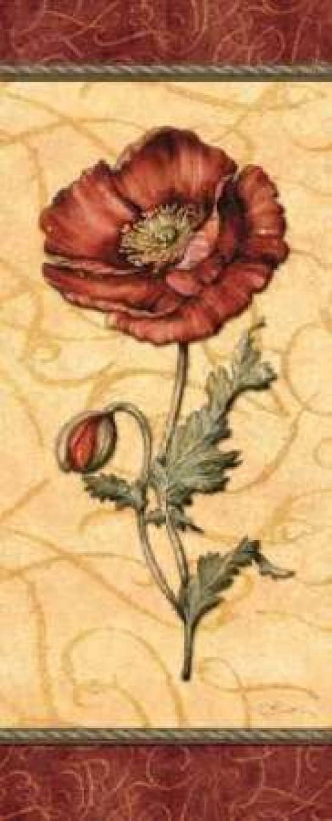 Red Passion Pavot Canvas Art - Charlene Audrey (10 x 20)