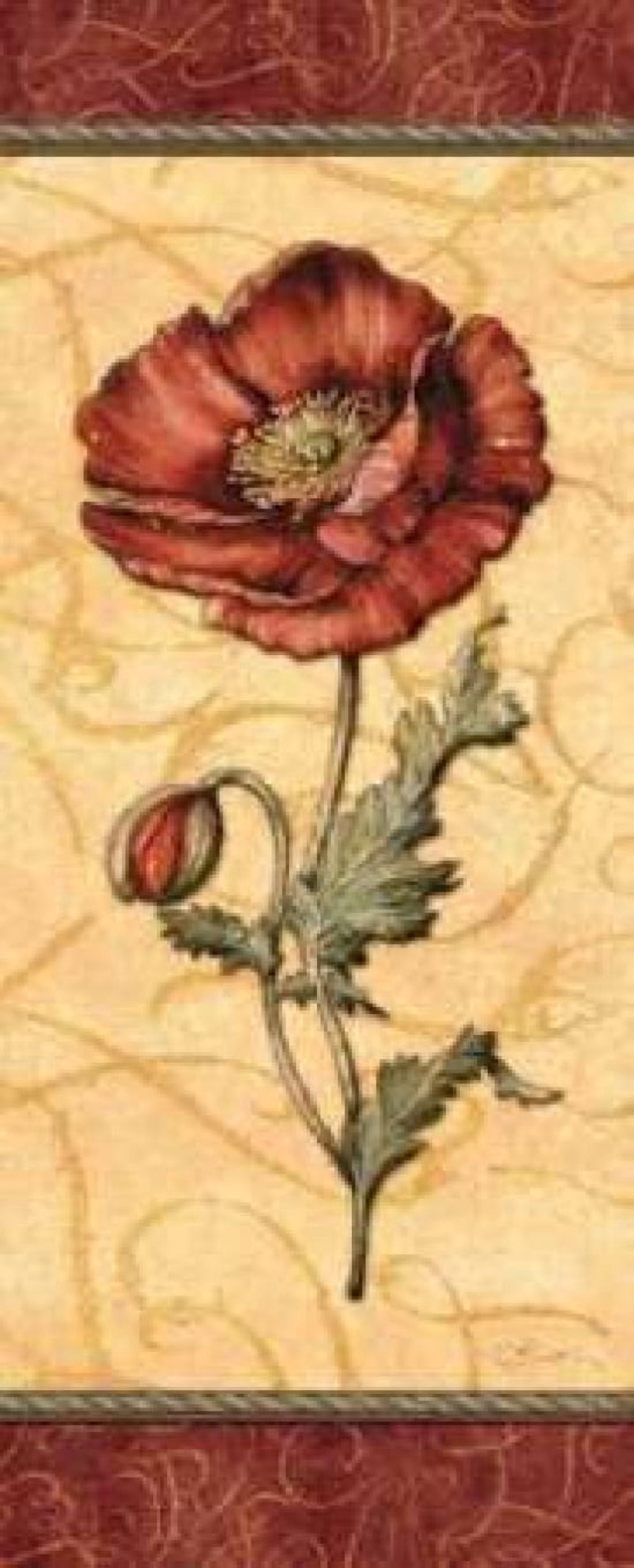 Red Passion Pavot Canvas Art - Charlene Audrey (24 x 48)