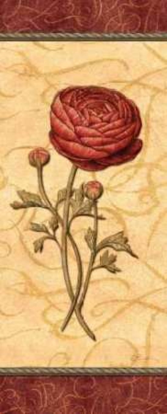 Red Passion Renonculus Canvas Art - Charlene Audrey (10 x 20)