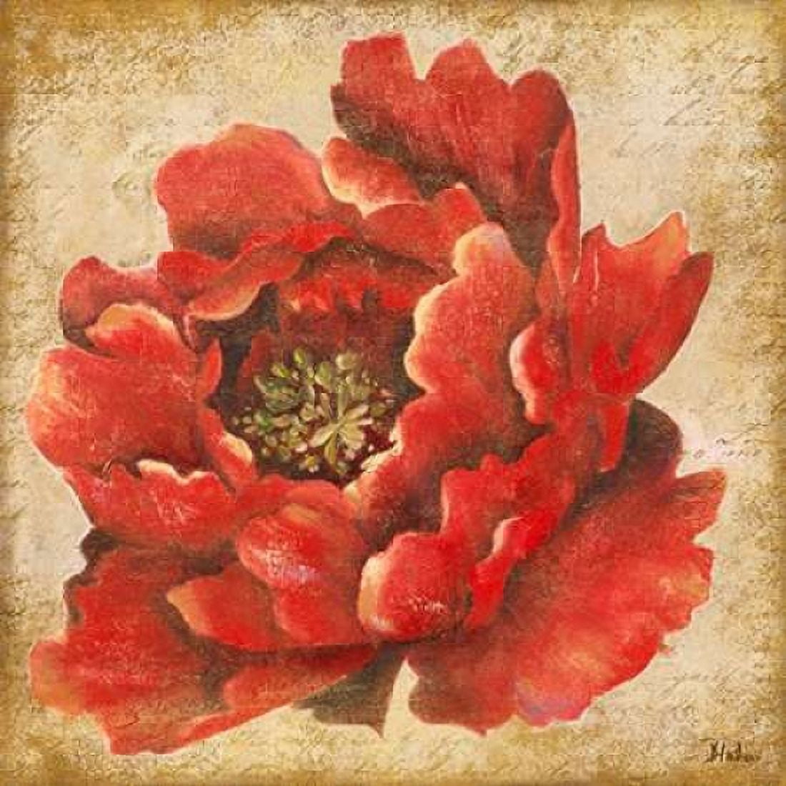 Red Peony on Gold Canvas Art - Patricia Pinto (24 x 24)