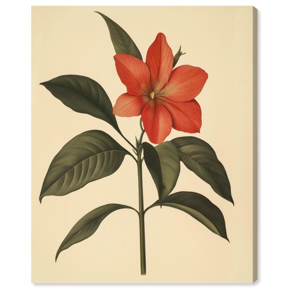 Red Petal Reverie I Canvas Vintage Botanicals by Art Remedy, Gallery Wrapped, 16" x 20"
