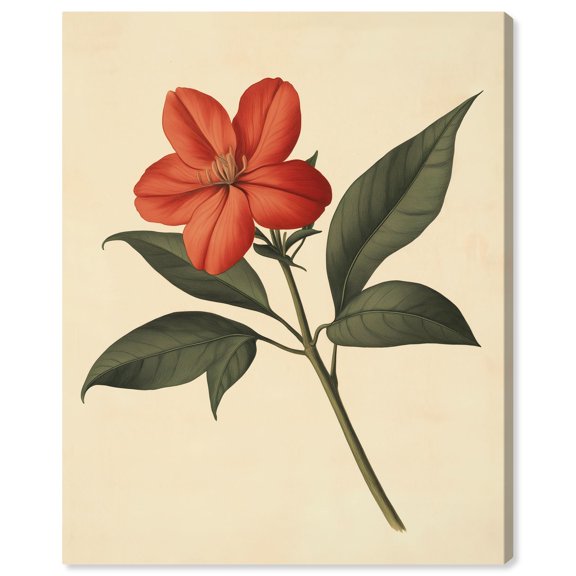 Red Petal Reverie II Canvas Vintage Botanicals by Art Remedy, Gallery Wrapped, 16" x 20"