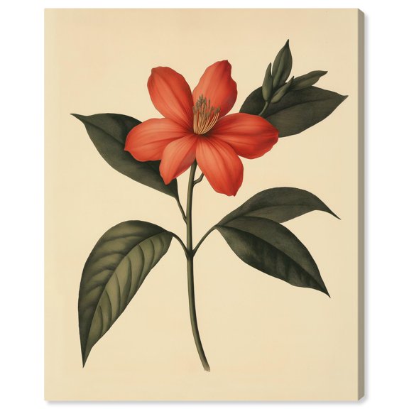 Red Petal Reverie III Canvas Vintage Botanicals by Art Remedy, Gallery Wrapped, 20" x 24"