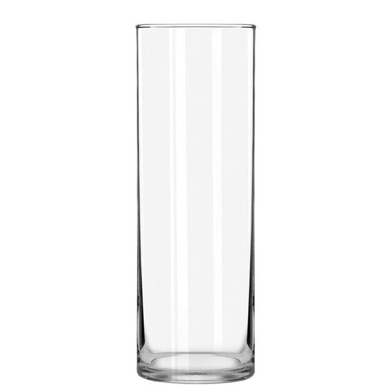 Red Pomegranate Collection 01010 10 in. Verre Glass Cylinder Vases