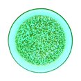 thumbnail image 1 of Red Pomegranate Collection 4960-6 7 in. Isla Canape Plates, Emerald & Gold - Set of 4, 1 of 1