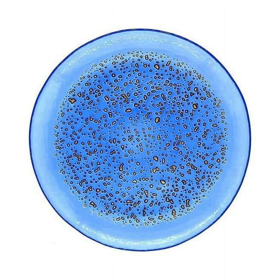 Red Pomegranate Collection 4960-7 7 in. Isla Canape Plates, Indigo & Bronze - Set of 4