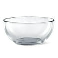 thumbnail image 1 of Red Pomegranate 0263-0 Element Glass Soup, Salad, Dessert & Snack Bowls - Set of 12, 1 of 1