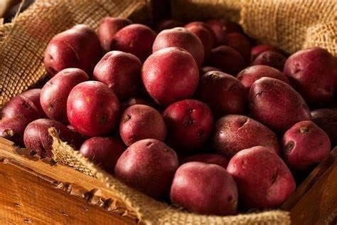 Red Pontiac Seed Potatos for Planting (10 Pounds)