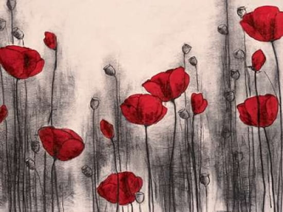 Red Poppies Canvas Art - Hans Andkjaer (18 x 24)