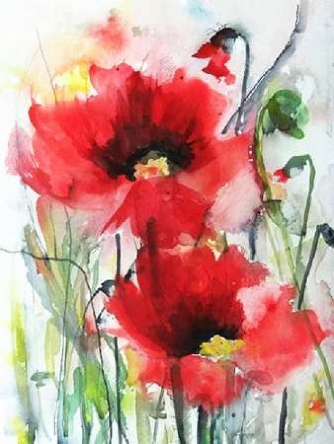 Red Poppies Canvas Art - Karin Johannesson (18 x 24)