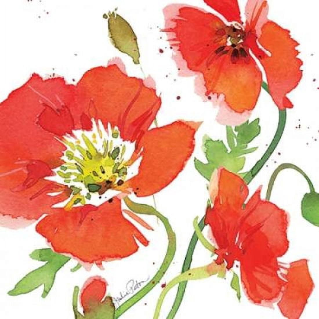 Red Poppies II Canvas Art - Julie Paton (24 x 24)