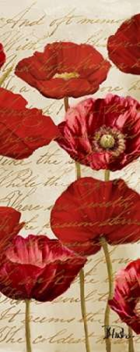 Red Poppies Panel I Canvas Art - Patricia Pinto (24 x 48)