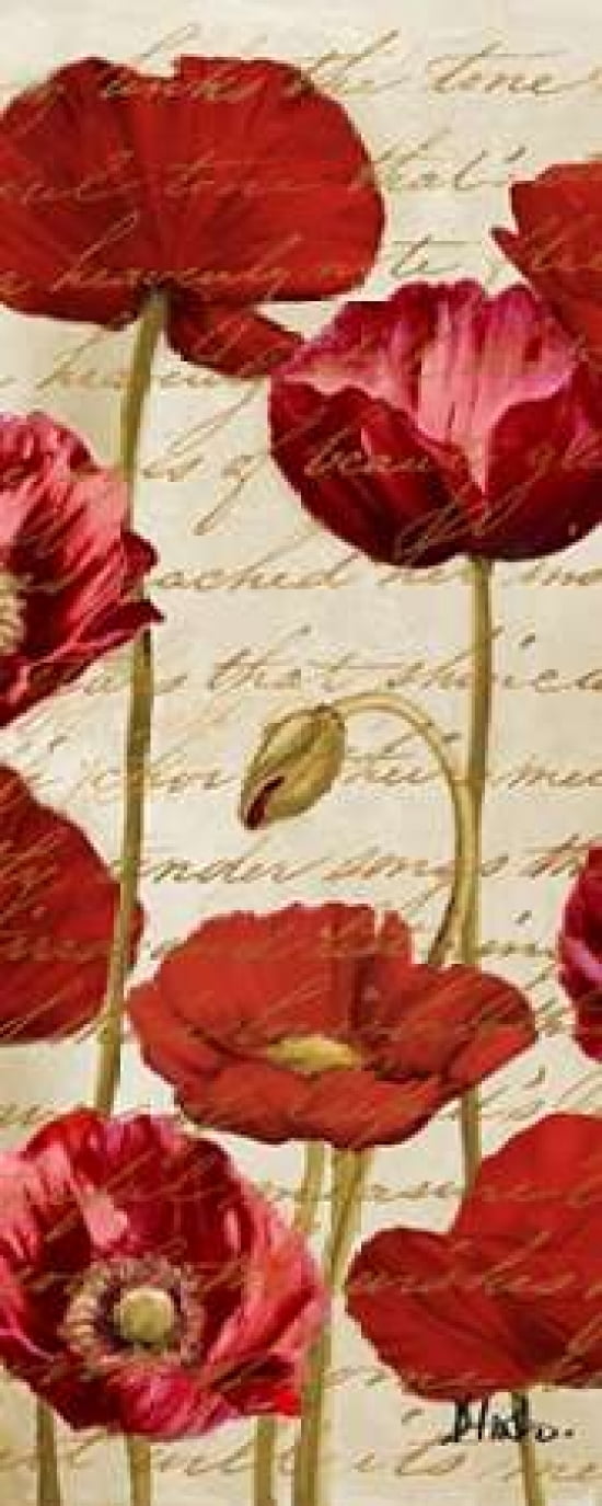 Red Poppies Panel II Canvas Art - Patricia Pinto (24 x 48)