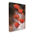 thumbnail image 1 of Red Poppies Rising Vibrant Floral Blossoms 36 in x 48 in Painting Canvas Art Print, by Stupell Home Décor, 1 of 2