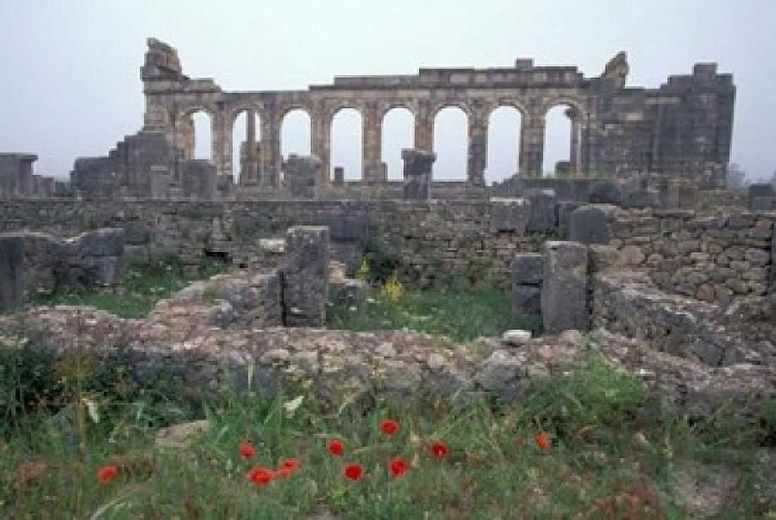 Red Poppies near Basilica in Ancient Roman City Morocco Canvas Art - John & Lisa Merrill DanitaDelimont (24 x 15)