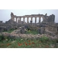 thumbnail image 1 of Red Poppies near Basilica in Ancient Roman City, Morocco Poster Print by John & Lisa Merrill (35 x 24), 1 of 1