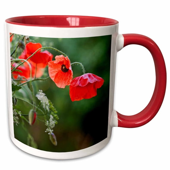 3drose, Red Poppy Flower and Parsley, 15oz Two-tone Red Mug