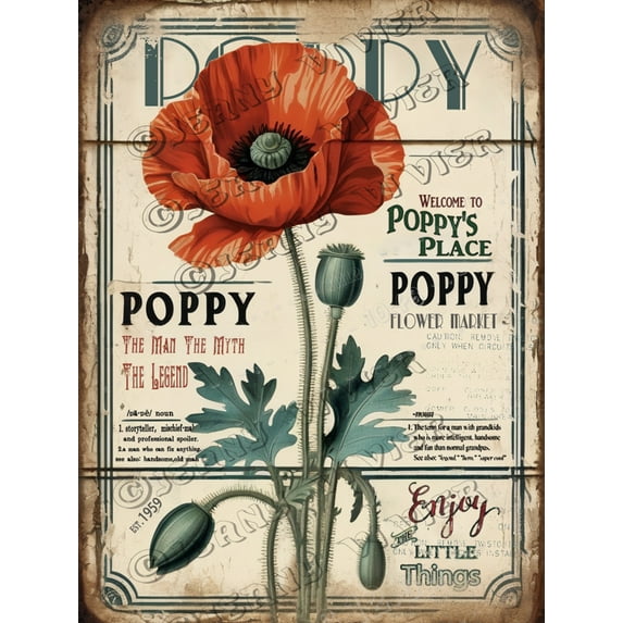 Red Poppy Flower Vintage Aluminum Sign 12x16 IN Red Wall Art Elegant Poppy Red Flower Wall Art Pretty Abstract Floral Pictures