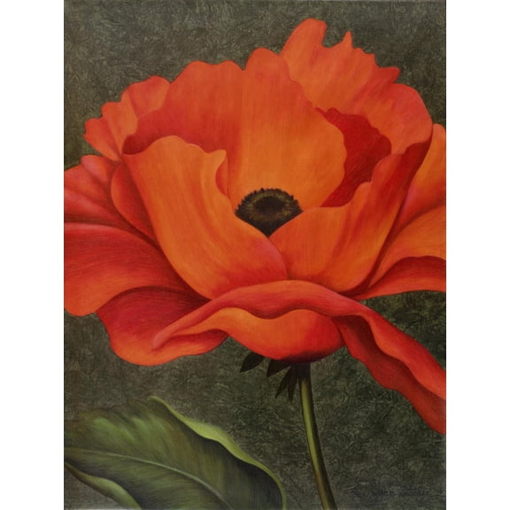 Art.com Red Poppy Giclee Print by John Zaccheo, 12" x 16"