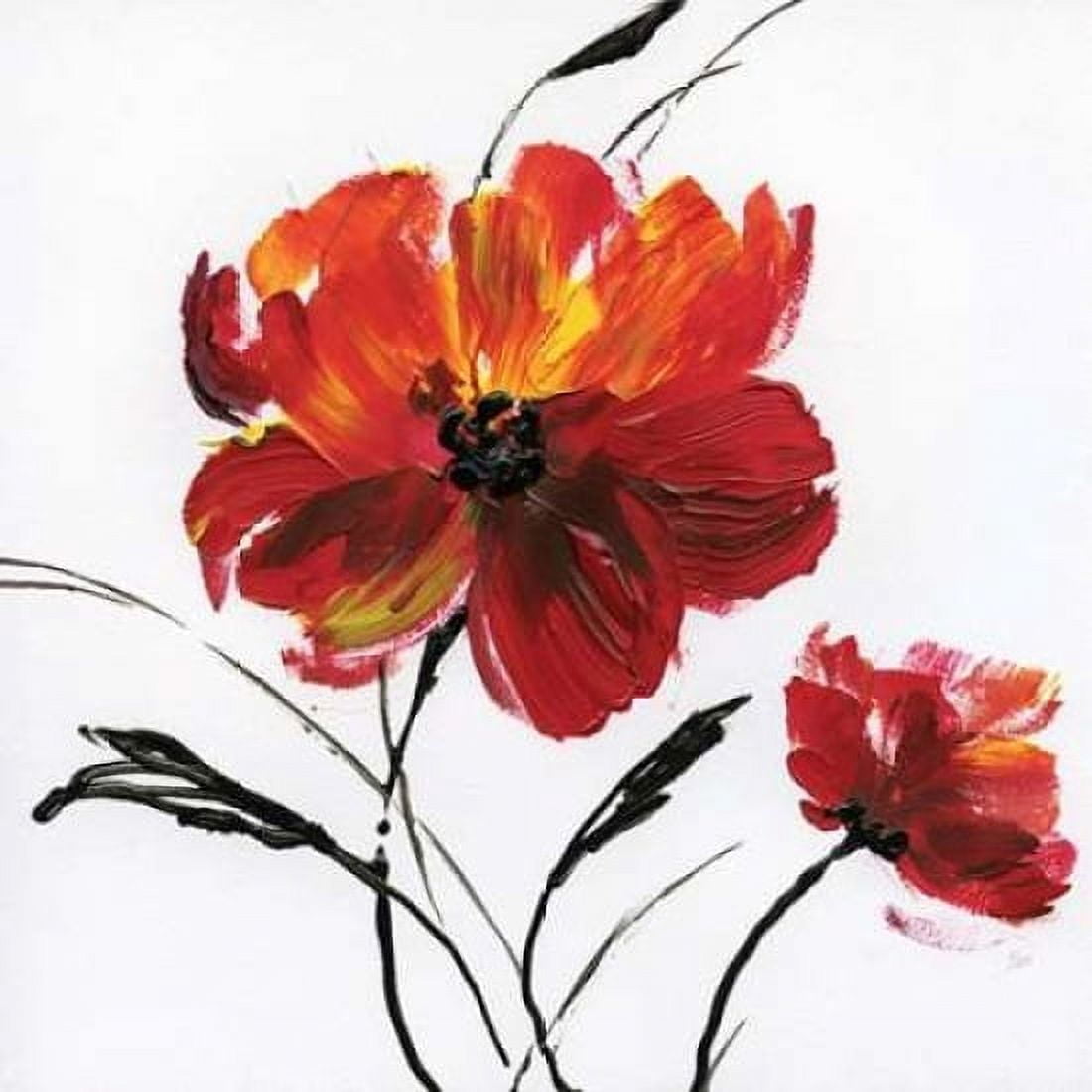 Red Poppy Splash III Canvas Art - Nan (24 x 24)