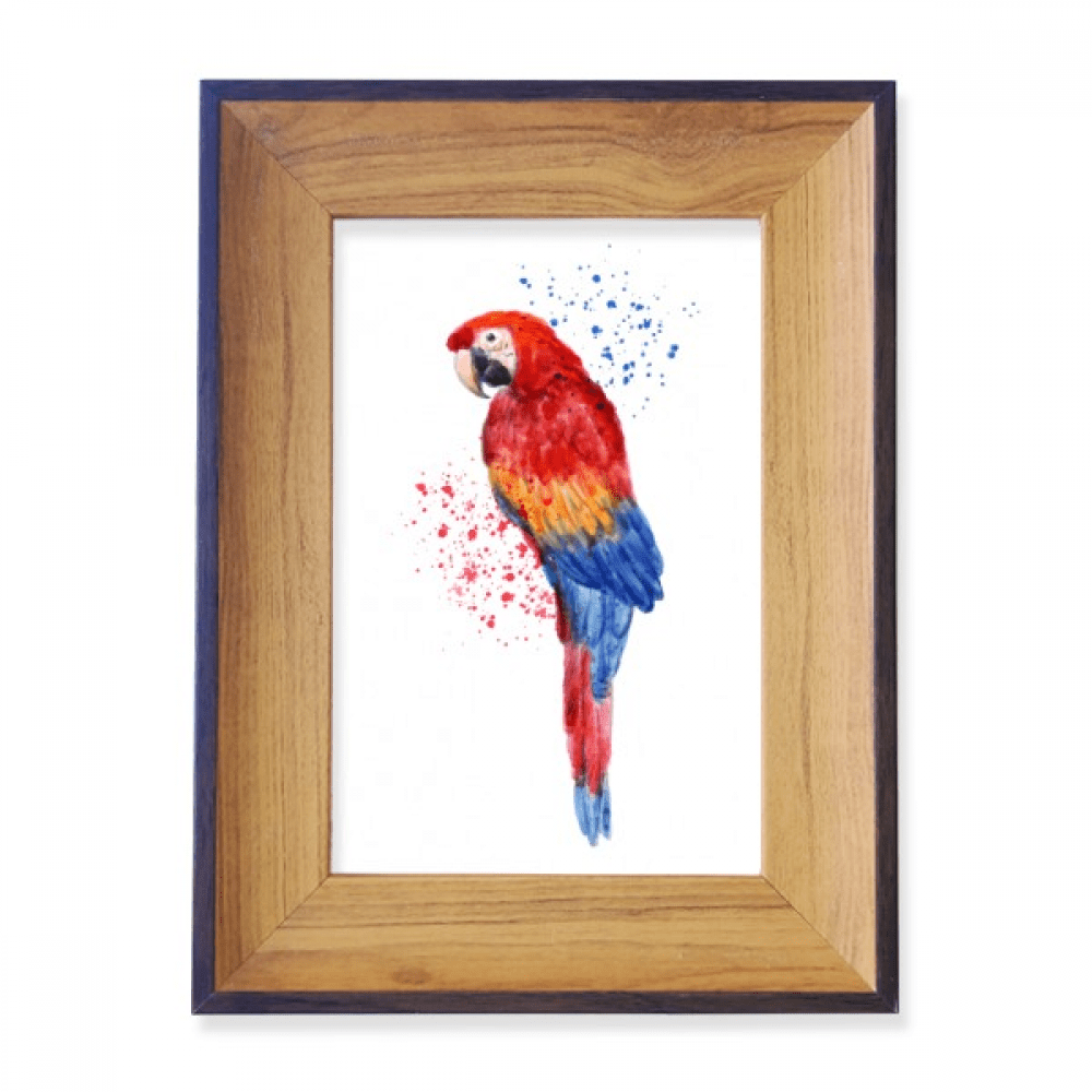 Red Psittaciformes Parrot Bird Photo Frame Exhibition Display Art ...