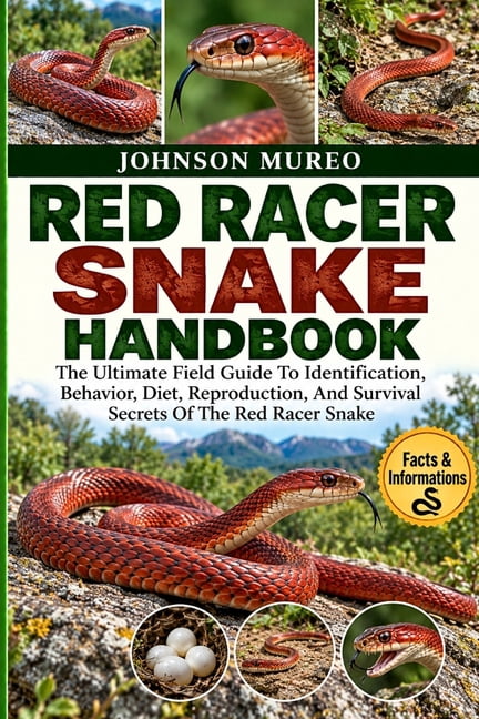 Red Racer Snake Handbook: The Ultimate Field Guide To Identification ...