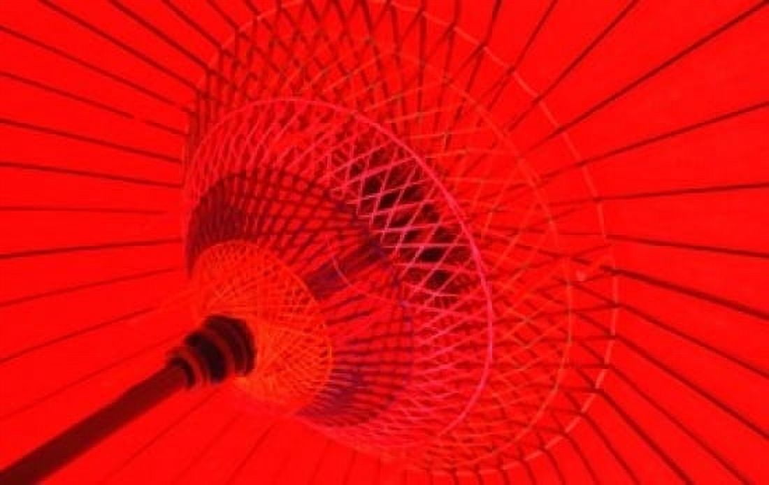 Red Radial Japan Canvas Art - Shin Terada DanitaDelimont (36 x 24)