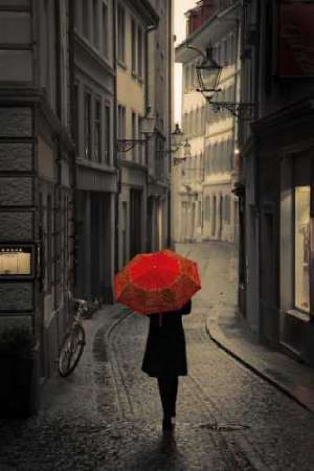 Red Rain Canvas Art - Stefano Corso (24 x 36)