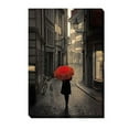thumbnail image 1 of Red Rain by Stefano Corso Premium Gallery-Wrapped Canvas Giclee Art - Ready-to-Hang, 24 x 36 x 1.5 in., 1 of 1