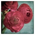 thumbnail image 1 of "Red Ranunculus" Painting Print on Wrapped Canvas, 1 of 7