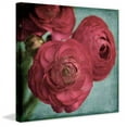 thumbnail image 1 of Marmont Hill 'Red Ranunculus' by Judy Stalus Painting Print on Wrapped Canvas, 1 of 7