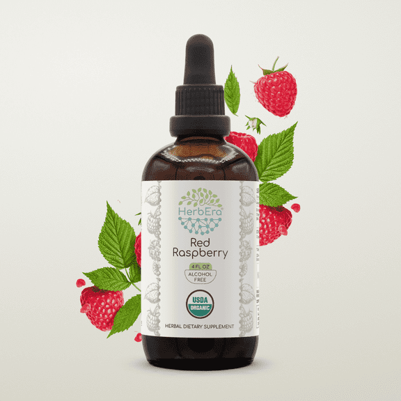 HerbEra Red Raspberry Tincture, Organic Herbal Dietary Supplement for Women’s Health Support, Certified Organic Red Raspberry (Rubus idaeus) Dried Leaf Extract, Natural, Alcohol-Free, Drops 4 oz