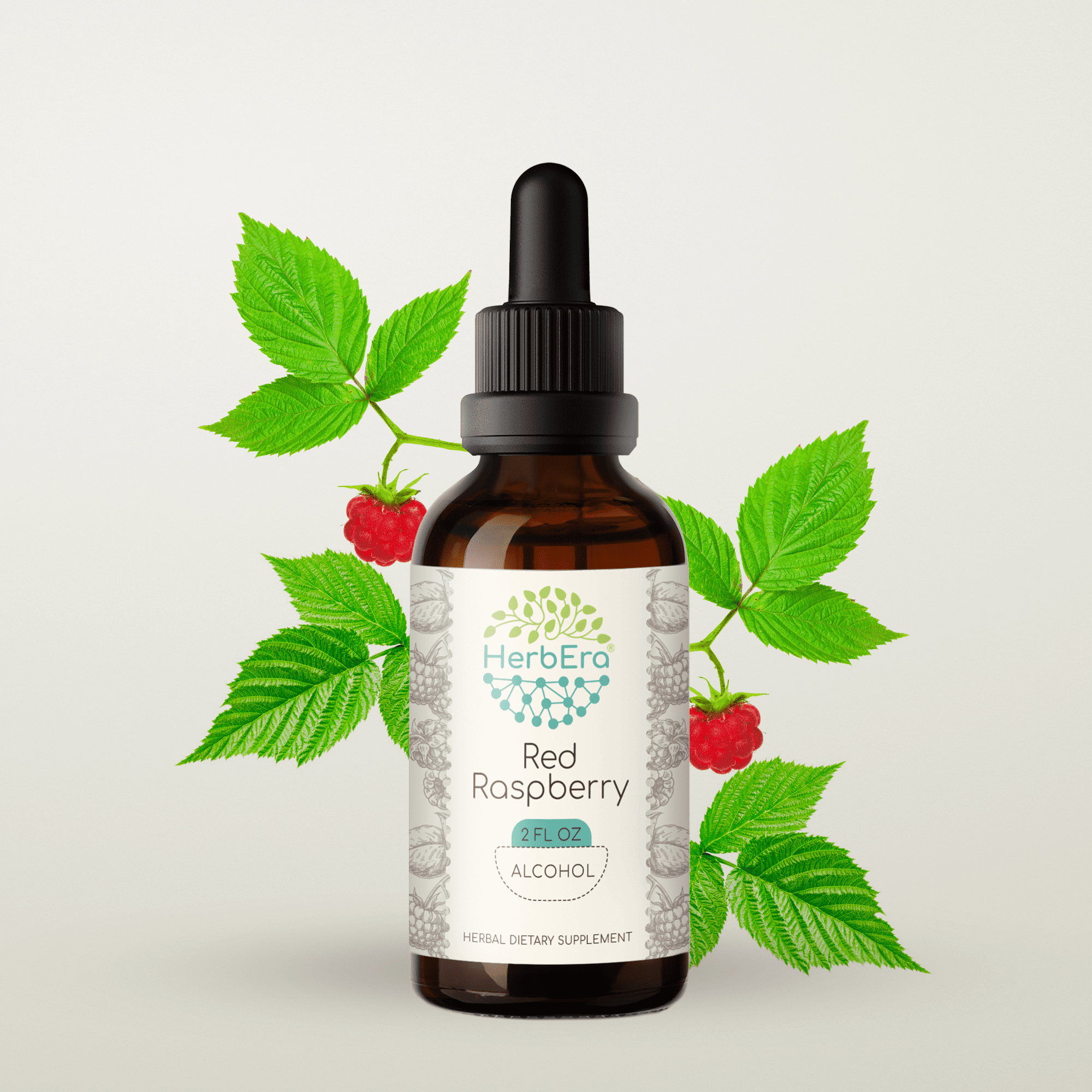 Vanilla Botanical Extract 10 ml