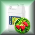 thumbnail image 1 of Red Raspberry Seed Oil for Skin, Virgin, 1 of 1
