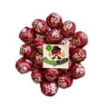 thumbnail image 1 of Red Raspberry Tootsie Pops Red Raspberry 60 Count Suckers with CandyMafia Magnet, 1 of 1