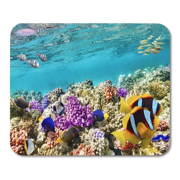 Red Reef Wonderful and Beautiful Underwater World Corals Tropical Fish Barrier Mousepad Mouse Pad Mouse Mat 9x10 inch